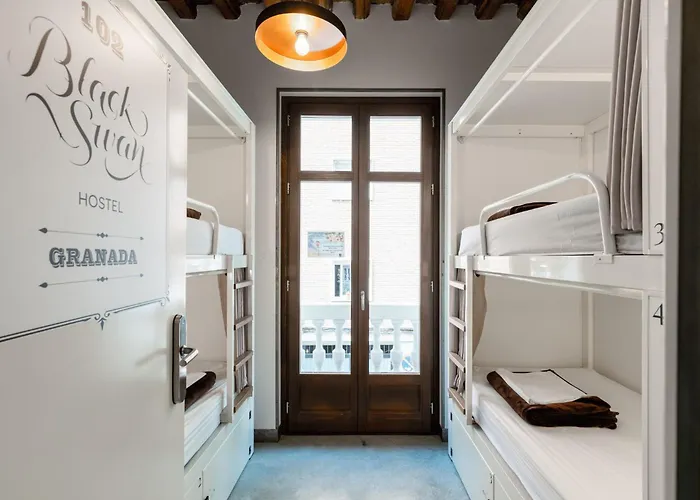 Black Swan Hostel Granada