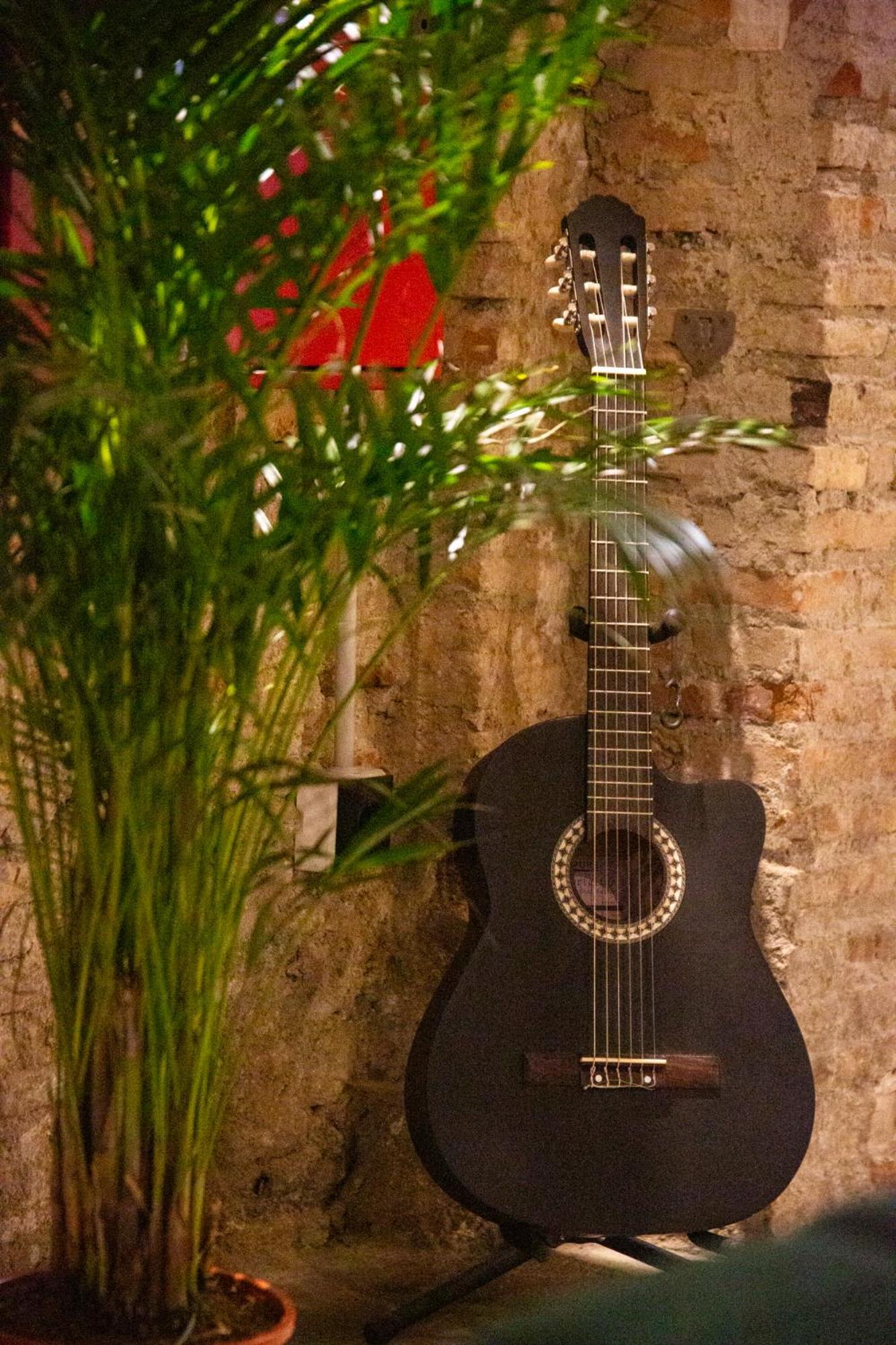 Black Swan Hostel